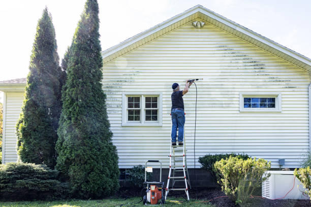 Best Local Pressure Washing Services  in Pojoaque, NM